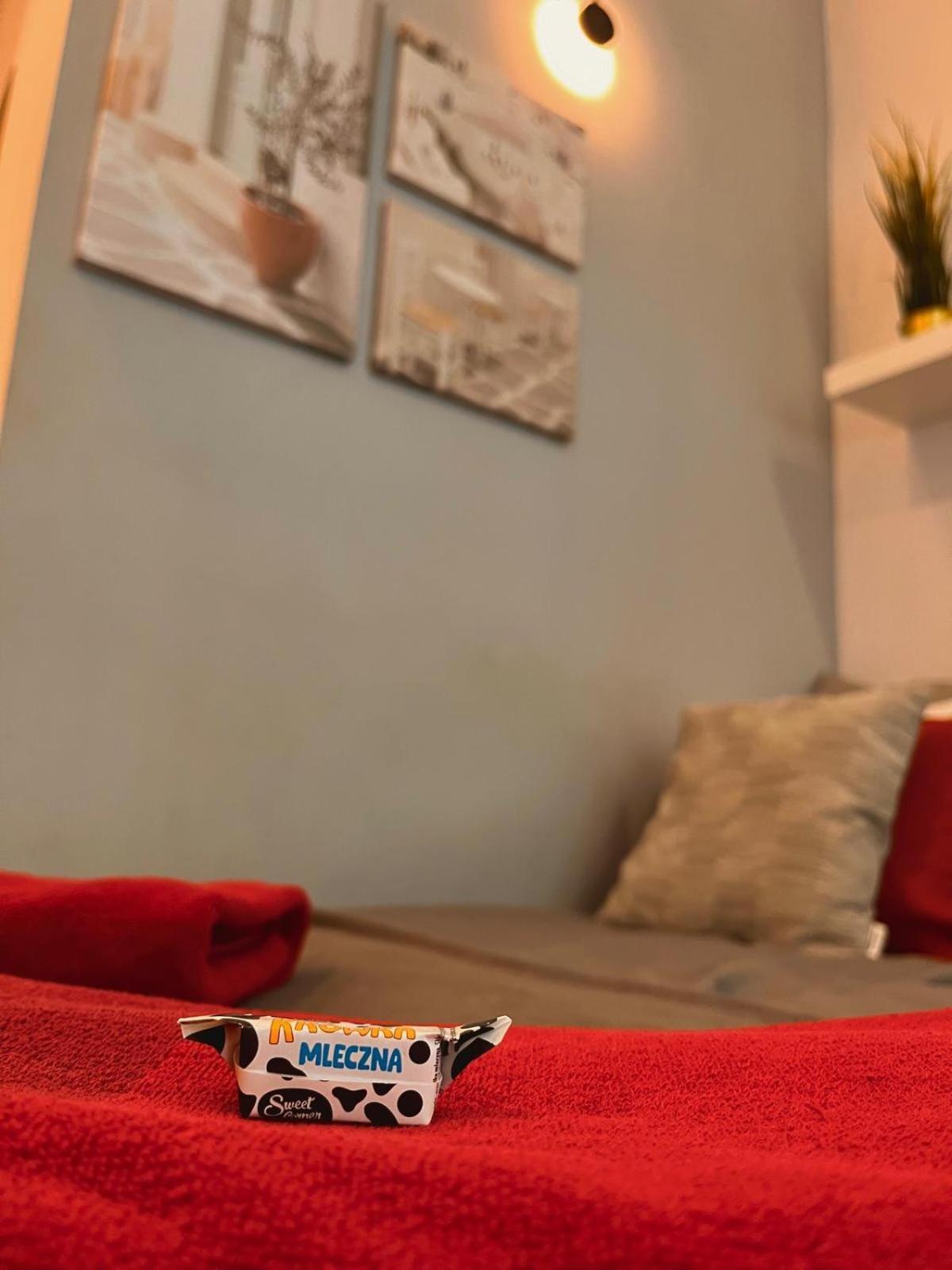 Special 1 Bed Room Condo Warszawa Center 外观 照片